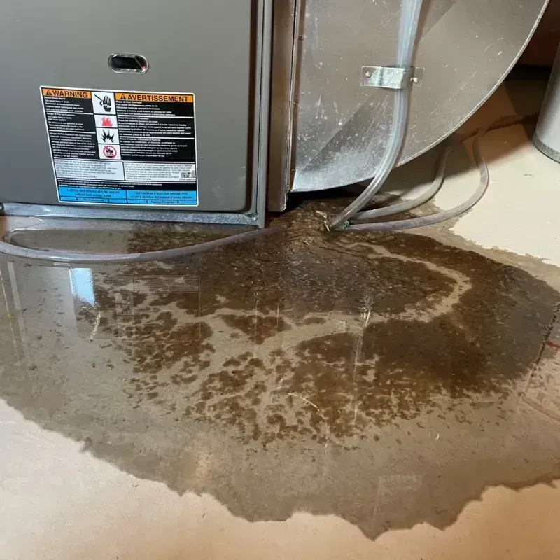 Appliance Leak Cleanup in Charleston, MS